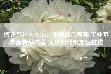 博迁新材(605376)：业绩符合预期 主业基本面持续改善 光伏铜代银加速推进