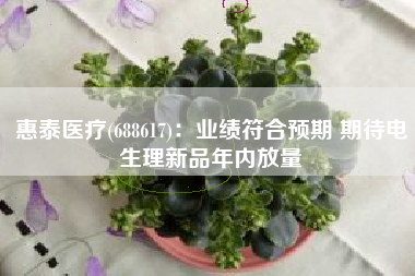 惠泰医疗(688617)：业绩符合预期 期待电生理新品年内放量