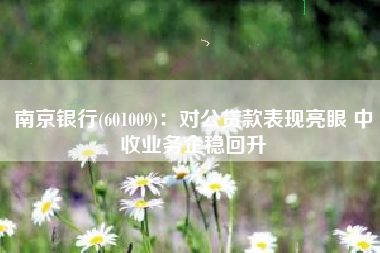 南京银行(601009)：对公贷款表现亮眼 中收业务企稳回升