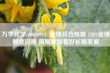 万华化学(600309)：业绩符合预期 25Q1业绩触底回暖 周期底部看好长期发展