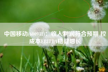 中国移动(600941)：收入利润符合预期 控成本EBITDA稳健增长
