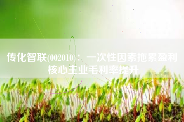 传化智联(002010)：一次性因素拖累盈利 核心主业毛利率提升