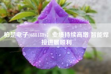 柏楚电子(688188)：业绩持续高增 智能焊接进展顺利