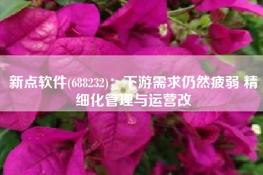 新点软件(688232)：下游需求仍然疲弱 精细化管理与运营改