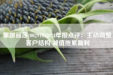 蒙娜丽莎(002918)2024年报点评：主动调整客户结构 减值拖累盈利