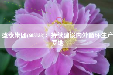 盛泰集团(605138)：持续建设内外循环生产基地