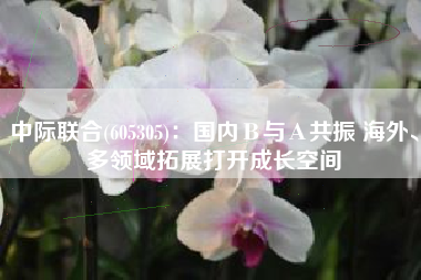 中际联合(605305)：国内Β与Α共振 海外、多领域拓展打开成长空间