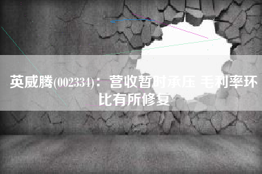 英威腾(002334)：营收暂时承压 毛利率环比有所修复