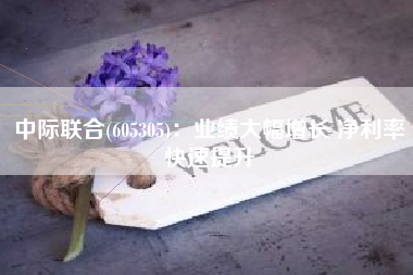 中际联合(605305)：业绩大幅增长 净利率快速提升