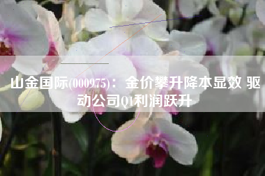 山金国际(000975)：金价攀升降本显效 驱动公司Q1利润跃升