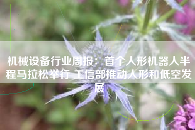 机械设备行业周报：首个人形机器人半程马拉松举行 工信部推动人形和低空发展