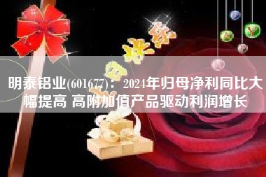 明泰铝业(601677)：2024年归母净利同比大幅提高 高附加值产品驱动利润增长