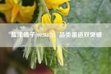 盐津铺子(002847)：品类渠道双突破