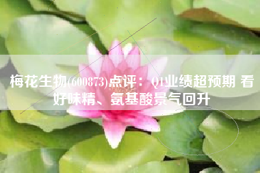 梅花生物(600873)点评：Q1业绩超预期 看好味精、氨基酸景气回升