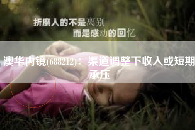 澳华内镜(688212)：渠道调整下收入或短期承压