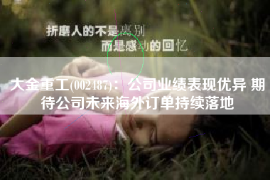 大金重工(002487)：公司业绩表现优异 期待公司未来海外订单持续落地