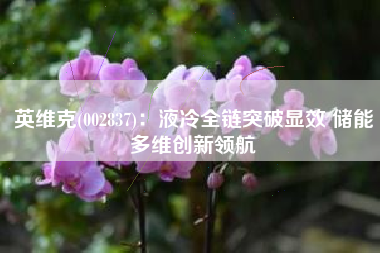 英维克(002837)：液冷全链突破显效 储能多维创新领航