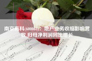 南京高科(600064)：地产业务收缩影响营收 归母净利润同比增长
