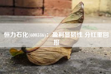 恒力石化(600346)：盈利显韧性 分红重回报