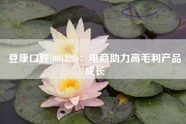 登康口腔(001328)：电商助力高毛利产品成长