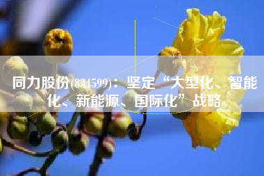 同力股份(834599)：坚定“大型化、智能化、新能源、国际化”战略