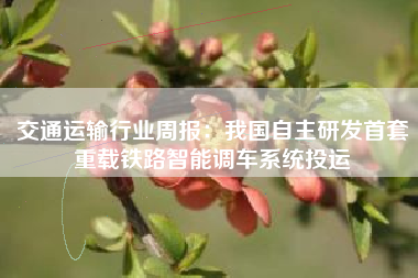 交通运输行业周报：我国自主研发首套重载铁路智能调车系统投运
