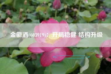 金徽酒(603919)：开局稳健 结构升级