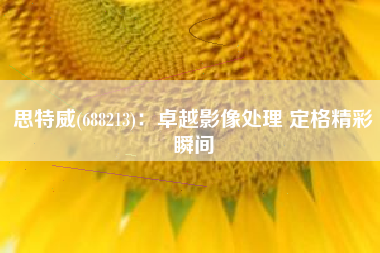 思特威(688213)：卓越影像处理 定格精彩瞬间