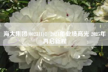 海大集团(002311)：2024年业绩高光 2025年再启新程