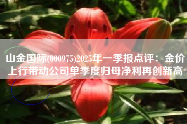 山金国际(000975)2025年一季报点评：金价上行带动公司单季度归母净利再创新高