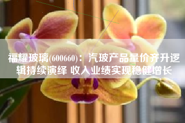 福耀玻璃(600660)：汽玻产品量价齐升逻辑持续演绎 收入业绩实现稳健增长