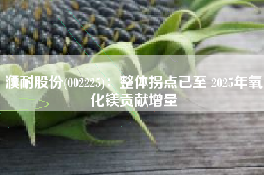濮耐股份(002225)：整体拐点已至 2025年氧化镁贡献增量
