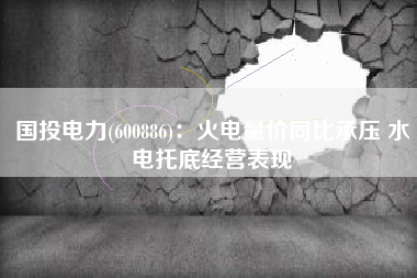 国投电力(600886)：火电量价同比承压 水电托底经营表现
