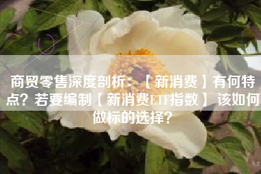 商贸零售深度剖析：【新消费】有何特点？若要编制【新消费ETF指数】 该如何做标的选择？