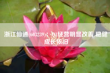 浙江仙通(603239)：Q1经营明显改善 稳健成长依旧