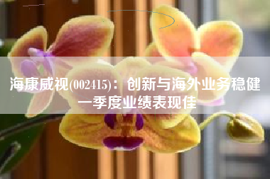 海康威视(002415)：创新与海外业务稳健 一季度业绩表现佳