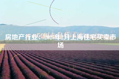 房地产行业：2025年2月上海住宅买卖市场
