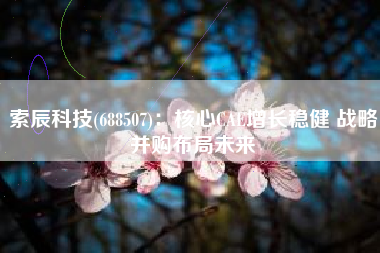 索辰科技(688507)：核心CAE增长稳健 战略并购布局未来