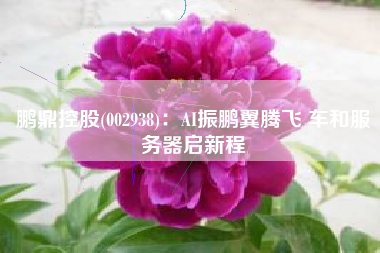鹏鼎控股(002938)：AI振鹏翼腾飞 车和服务器启新程