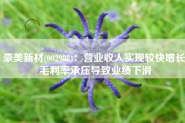 豪美新材(002988)：营业收入实现较快增长 毛利率承压导致业绩下滑