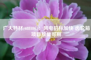 广大特材(688186.)：风电招标加快 齿轮箱项目放量可期