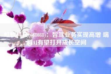 虹软科技(688088)：智驾业务实现高增 端侧AI有望打开成长空间