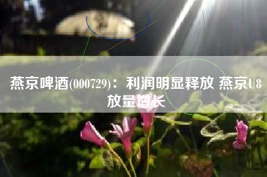 燕京啤酒(000729)：利润明显释放 燕京U8放量增长