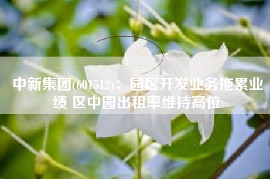 中新集团(601512)：园区开发业务拖累业绩 区中园出租率维持高位