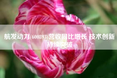 航发动力(600893)营收同比增长 技术创新持续突破