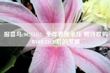 报喜鸟(002154)：全年表现承压 期待收购WOOLRICH后的发展