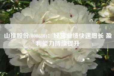 山推股份(000680)：经营业绩快速增长 盈利能力持续提升
