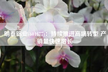 明泰铝业(601677)：持续推进高端转型 产销量快速增长