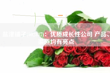 盐津铺子(002847)：优质成长性公司 产品、渠道均有亮点