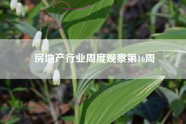 房地产行业周度观察第16周
